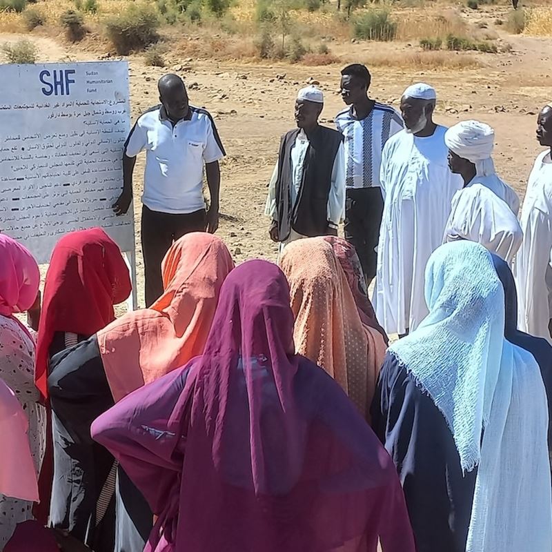 Installation of billboard in Central Darfur explaining protection programme objectivesDRC