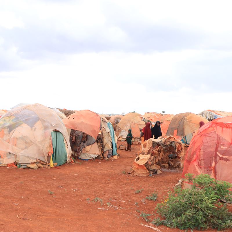 An IDP Camp in Baidoa where newly arrived IDPs have settled therefore stretching the already limited services.
